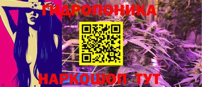 шишки Краснознаменск