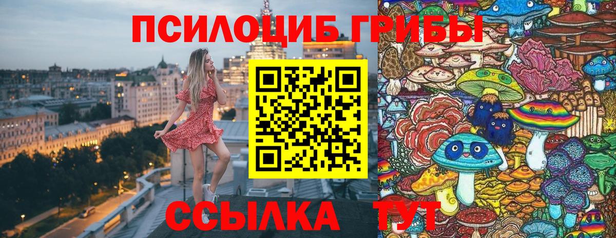 Псилоцибиновые грибы MAGIC MUSHROOMS  Вход с VPN  Каменск-Уральский  Псилоцибиновые грибы Psilocybe 