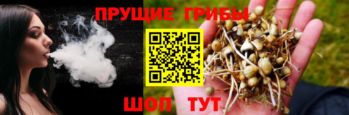 Галлюциногенные грибы Cubensis Каменск-Уральский